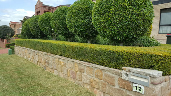 Landscaping Services Castle Hill
